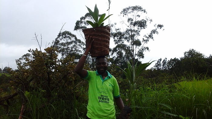 Green Trees Campaign - Bali