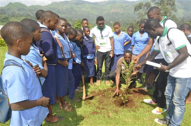 School Tree Planting, G.H.S Kedjom-Keku