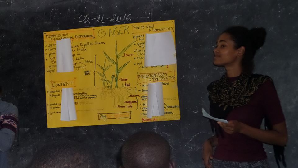 Week Three of The Herbal Gardens for Schools HG4S